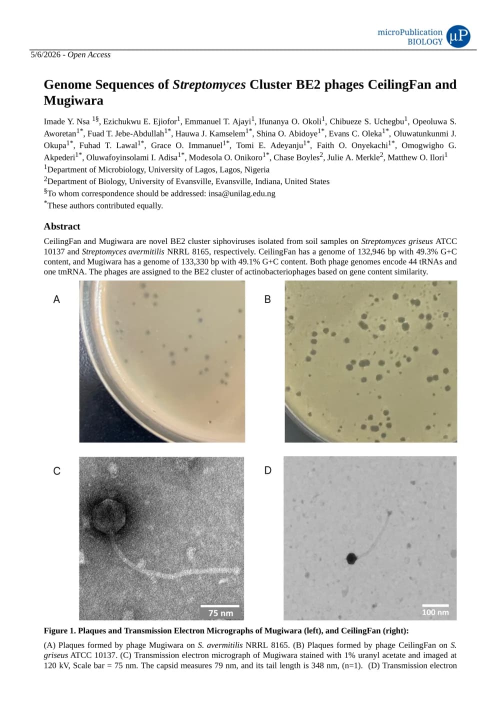 First page of our microPublication Biology paper on the genome sequences of Streptomyces phages CeilingFan and Mugiwara